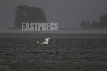 EA348288, Eastpress, Porvoo, Finland
